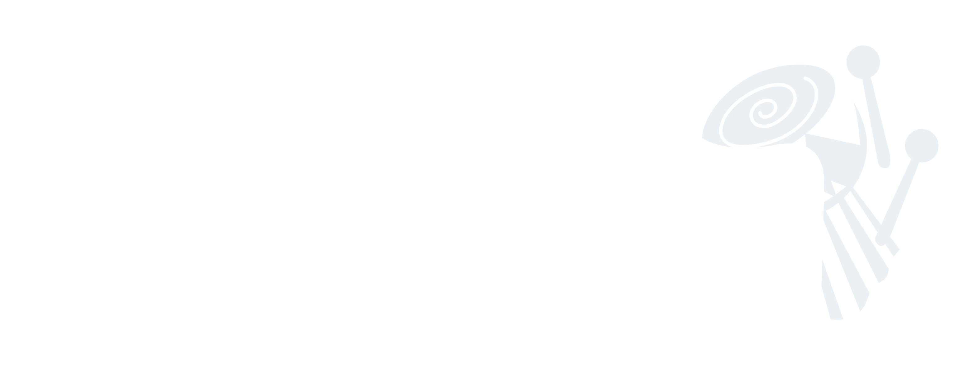 Footer Logo
